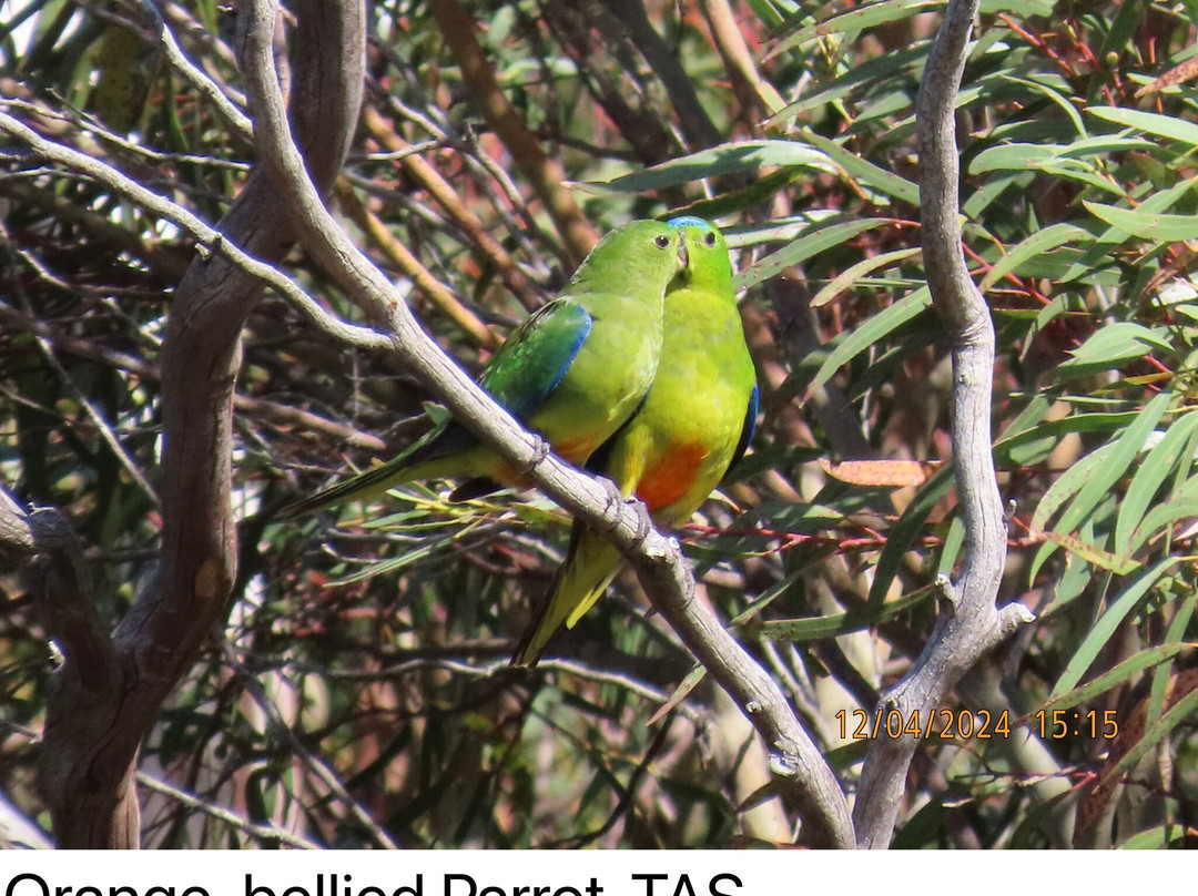 Inala Nature Tours-布鲁尼岛必去景点