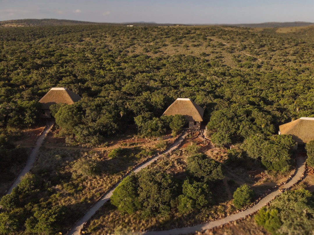 Induli Game Lodge