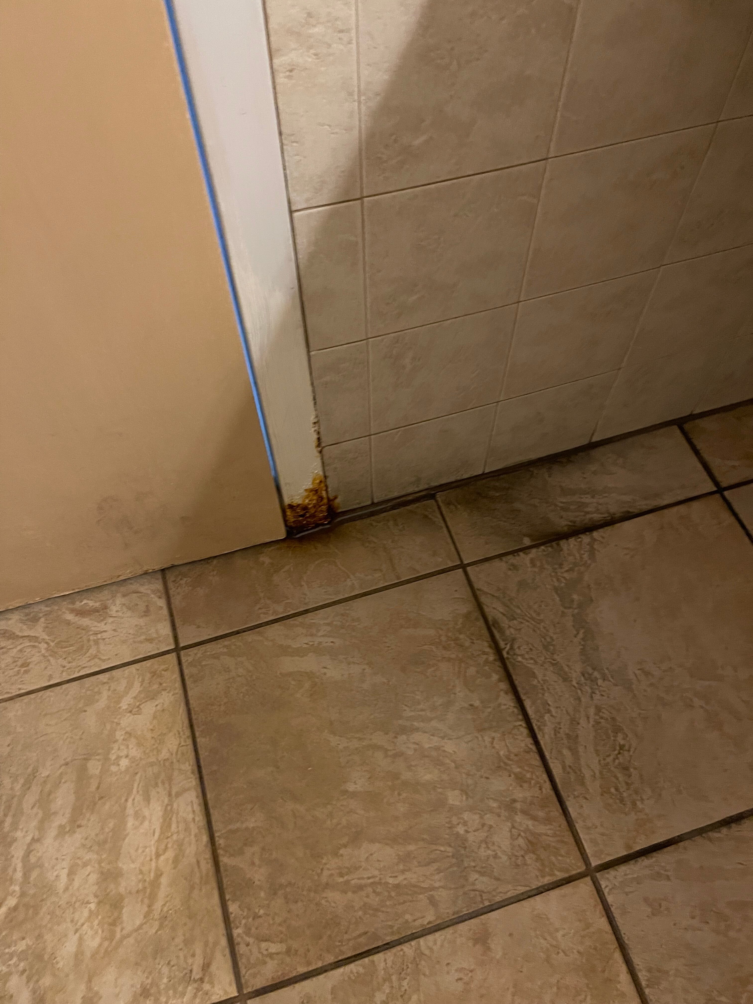 Comfort Inn & Suites Langley-浴室