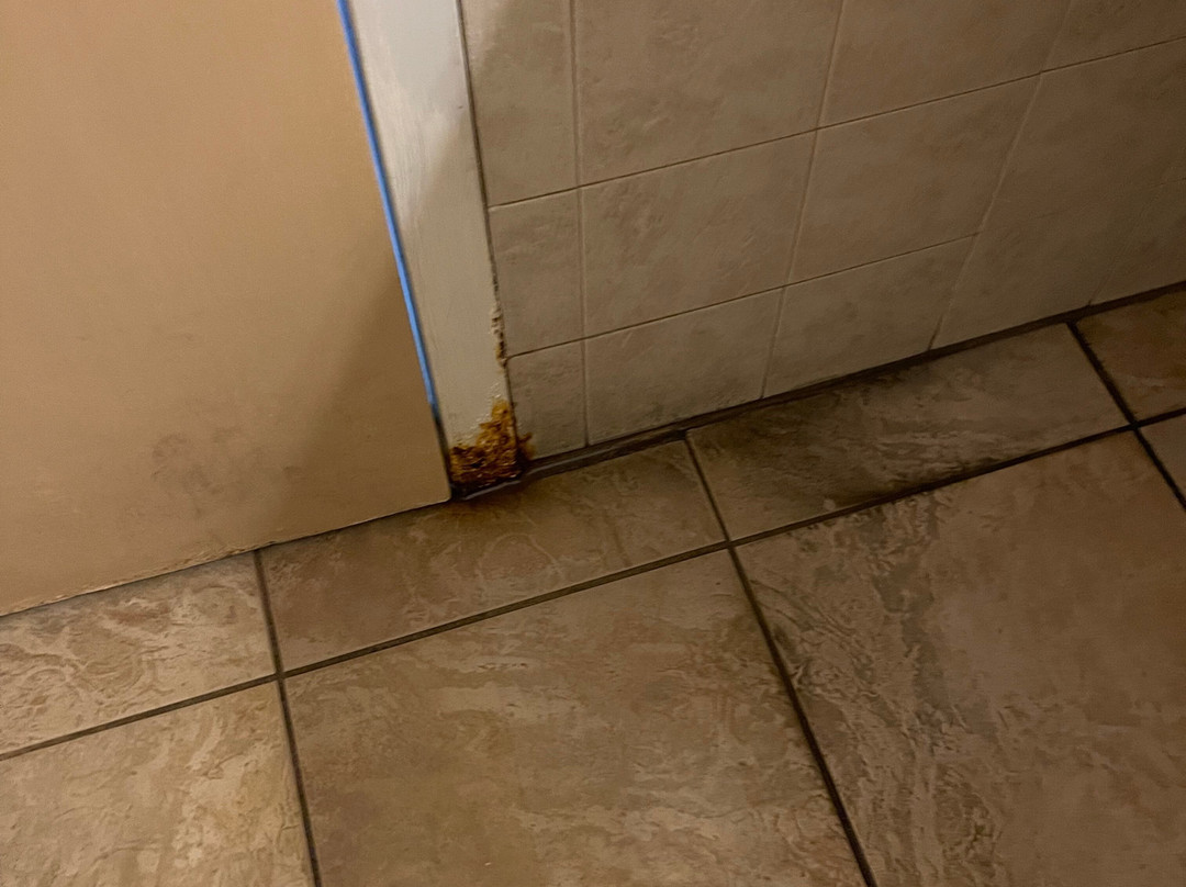 Comfort Inn & Suites Langley主图