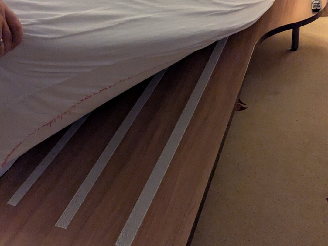 Seehotel Schwanenhof主图