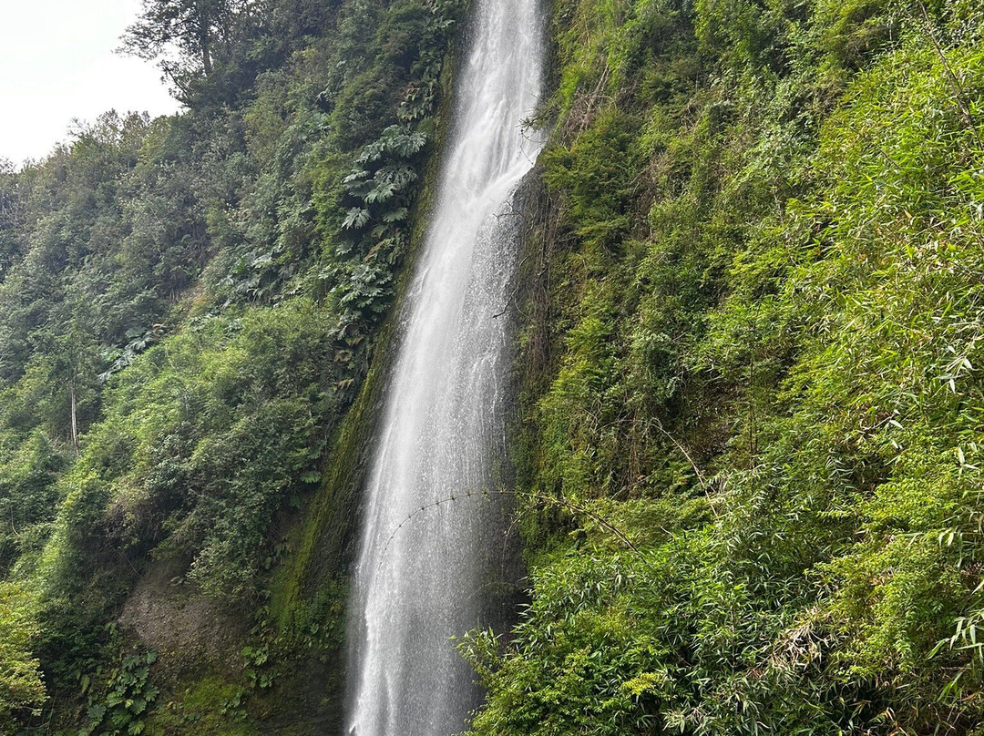 Cascadas de Tocoihue-Dalcahue必去景点