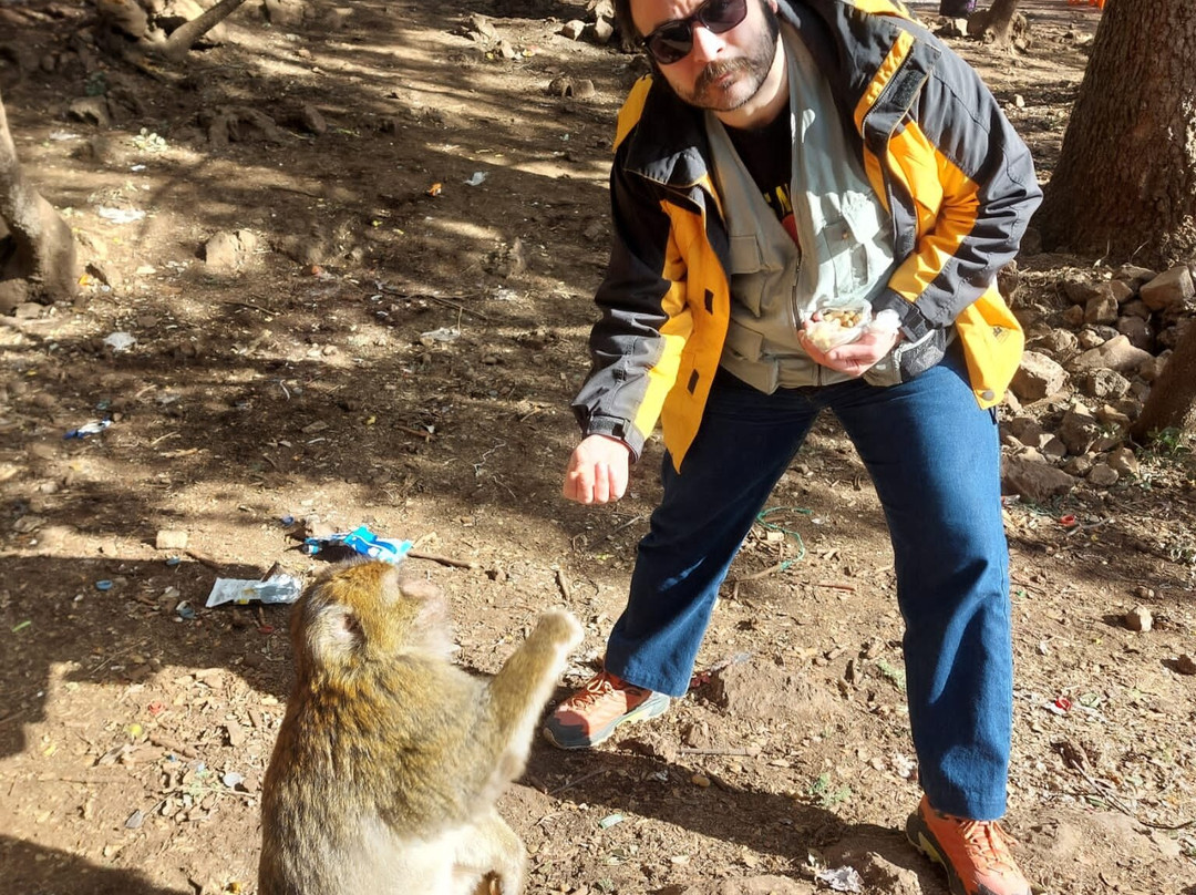 Fez City Tour-非斯必去景点
