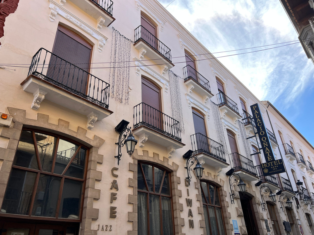 Hotel Palacio de Onate主图