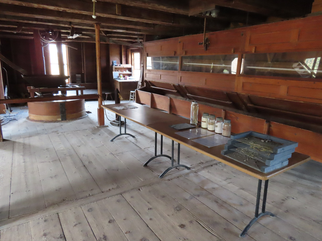 Ball's Falls-林肯必去景点