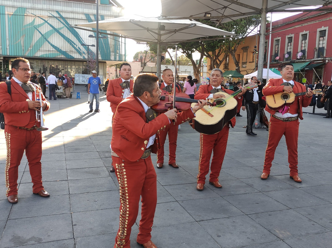 TourMate México-墨西哥城必去景点