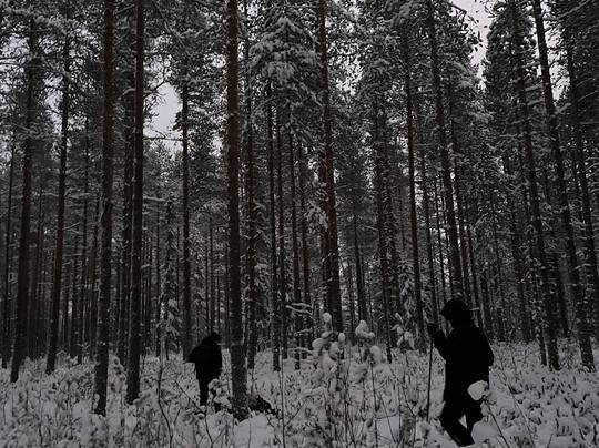 Vuosku Arctic Experiences-罗瓦涅米必去景点