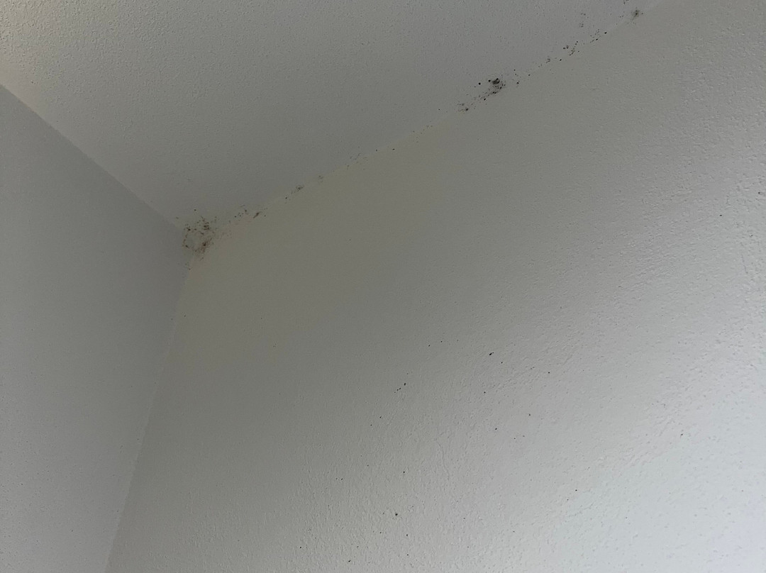 艾尔伯格帕拉堤索苏拉戈酒店主图