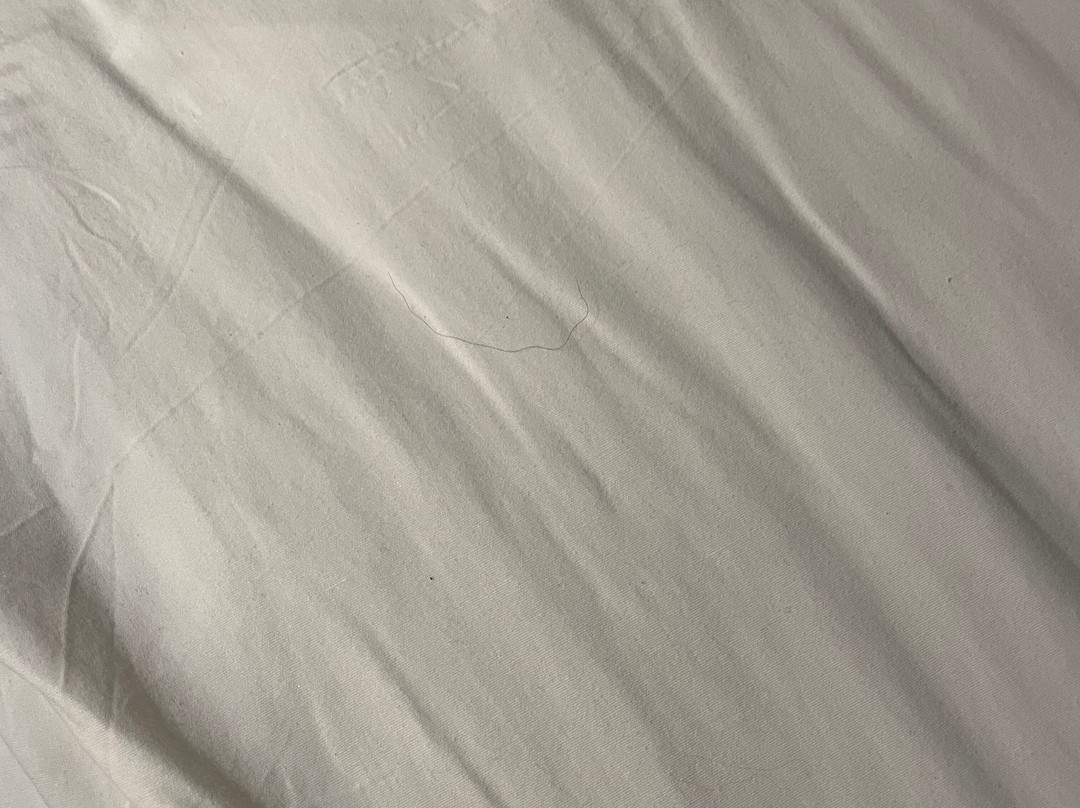 蒙特利尔桑德曼酒店 - 隆格伊主图