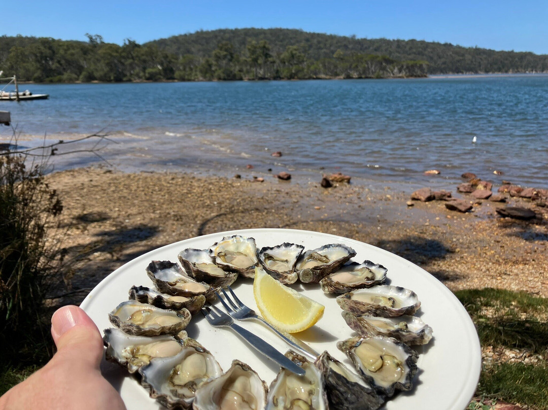 Broadwater Oysters景点图片