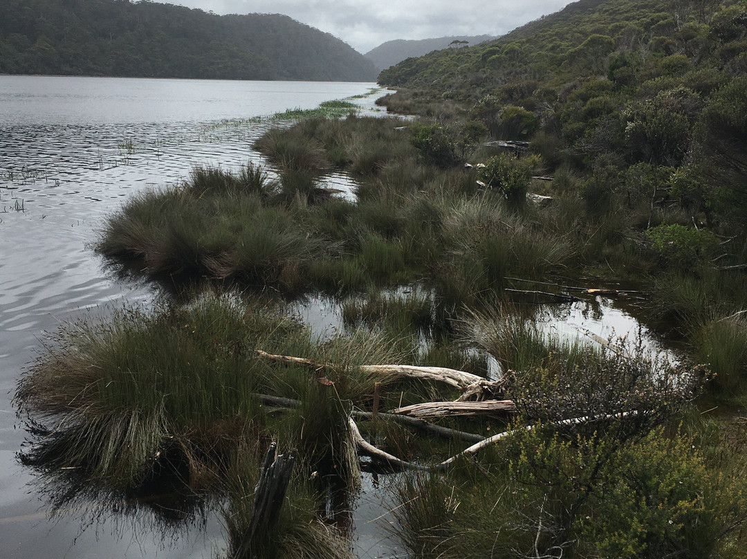 Pieman River Cruise-Corinna必去景点