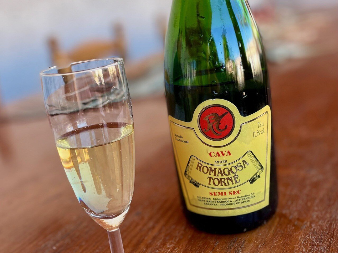 Caves Romagosa Torné-Sant Marti Sarroca必去景点