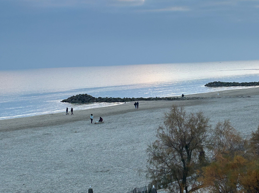 Plage Palace主图