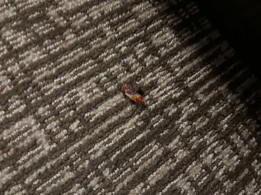 Comfort Inn East Windsor - Springfield主图