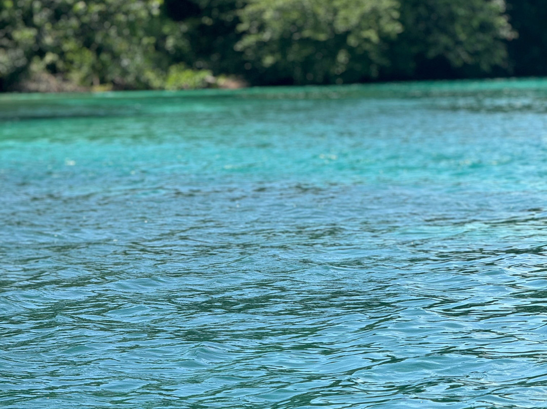Bocas Water Excursions景点图片