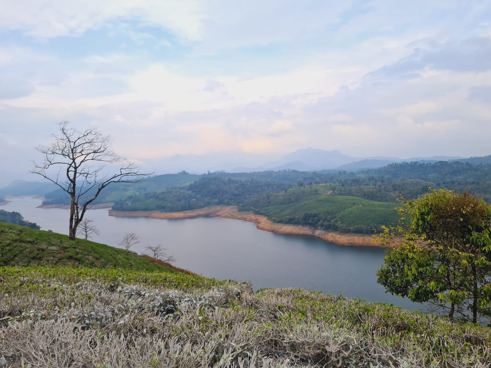 Star Tea Estate Bungalow-酒店景观