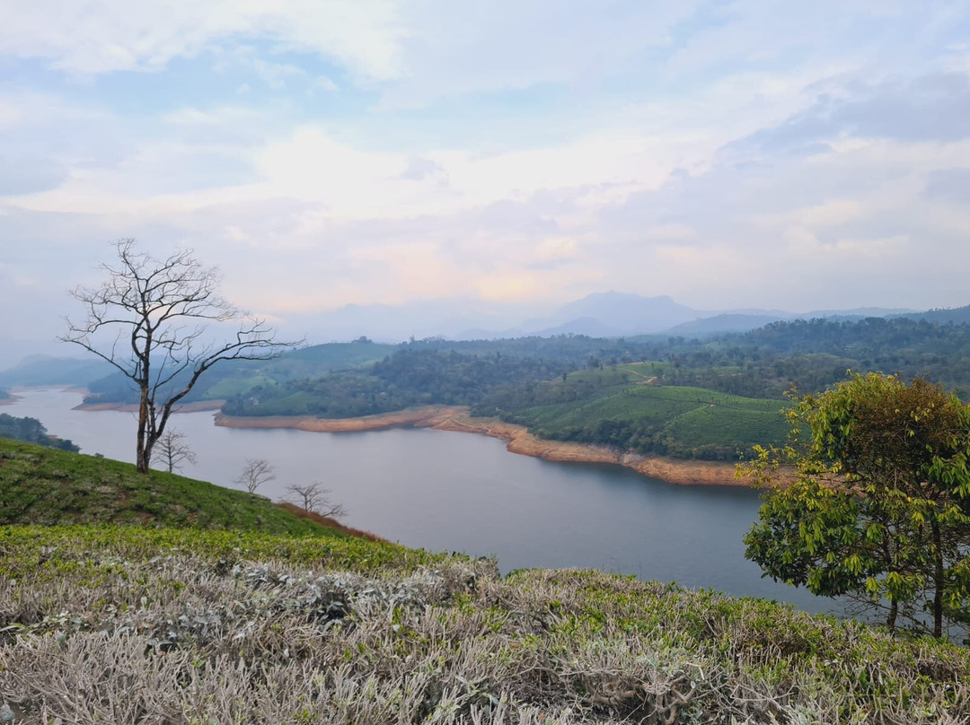 Star Tea Estate Bungalow主图