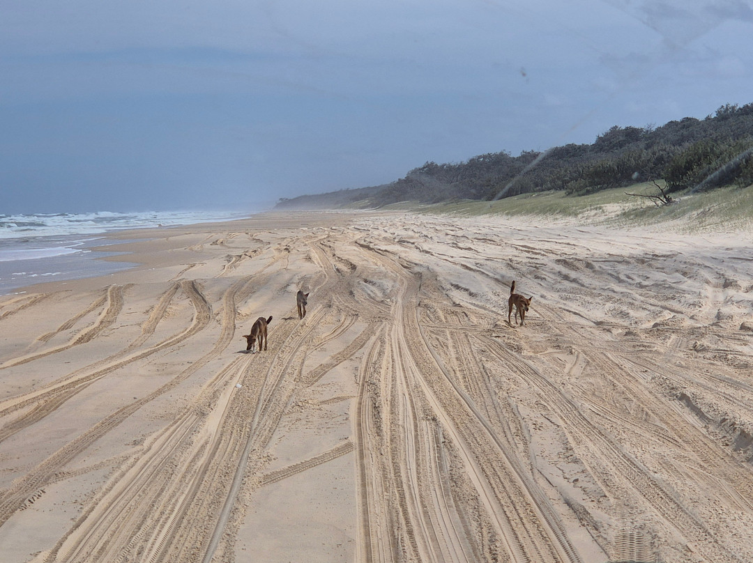 Fraser Experience Tours-弗雷泽岛必去景点