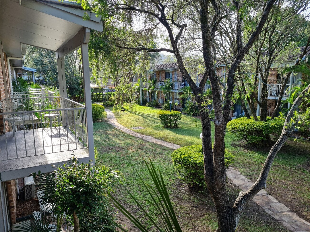 品质客栈柳树丛主图