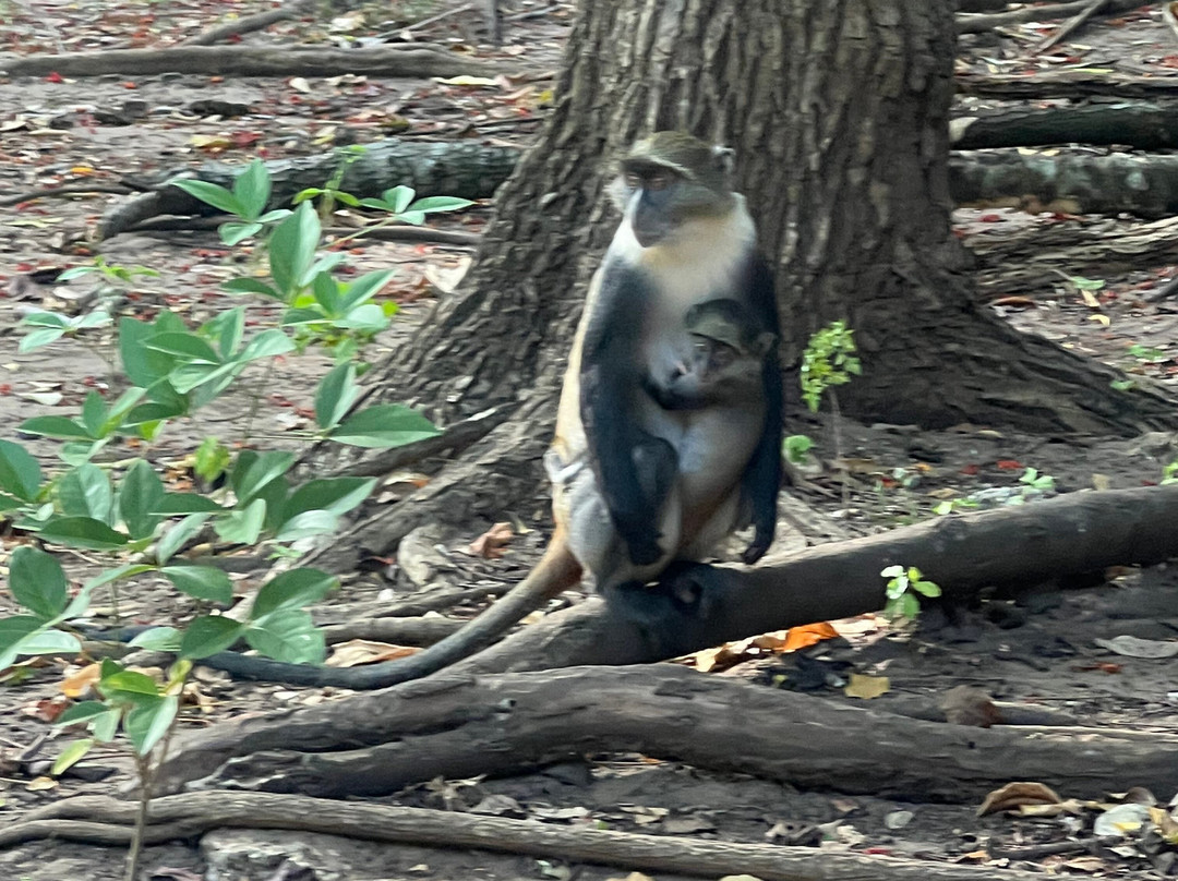 Safarisana-瓦塔木必去景点