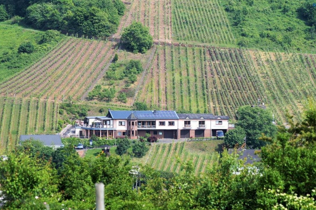Urlaubsweingut Zecherhof