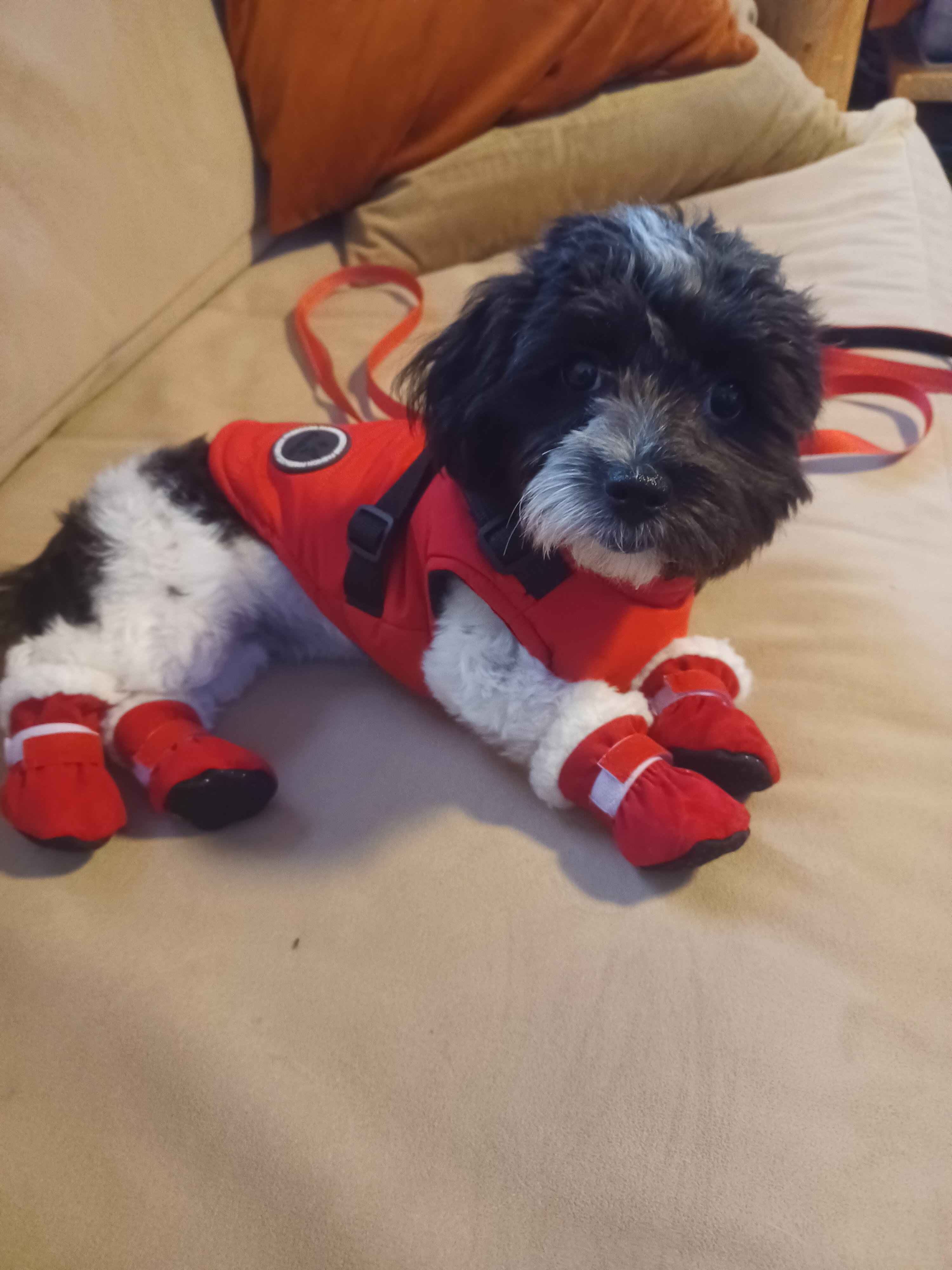 Cooper Spur Mountain Resort-家庭/游戏区