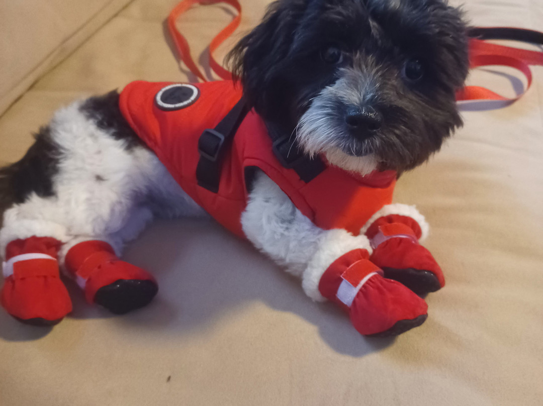 Cooper Spur Mountain Resort主图