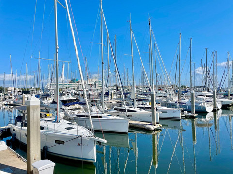 Intelligent Sailing-圣彼德斯堡必去景点