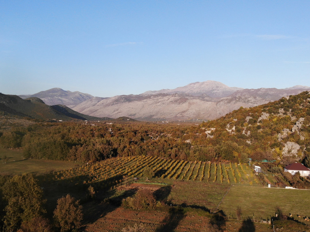 Homestead Albania-Bajze必去景点
