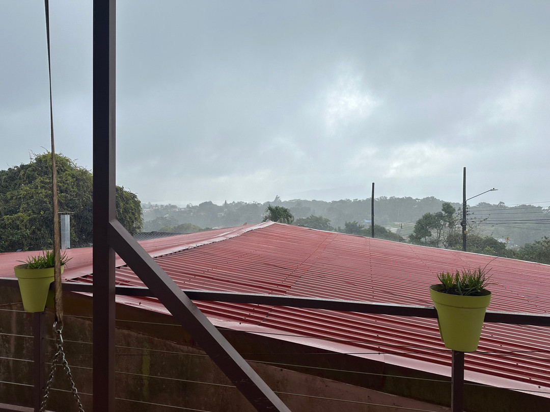 Casa Donna Rosa Bed And Breakfast主图