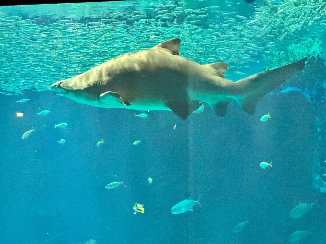 海中道海洋世界景点图片