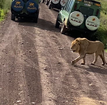 AstazTravel-桑给巴尔市必去景点