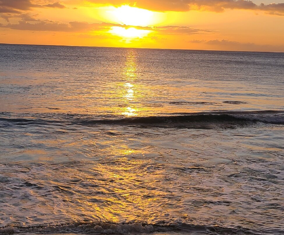 Coconut Palms Inn主图