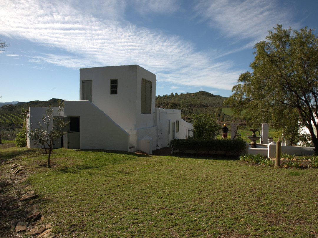 Olijvenhof Olive Estate-蒙提古必去景点