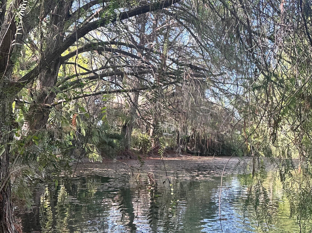 La Santisima Trinidad主图