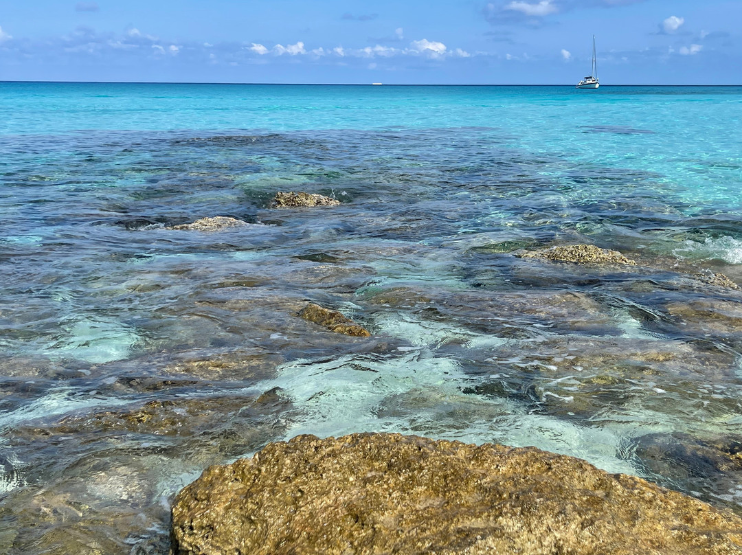 Radio Beach-Alice Town必去景点