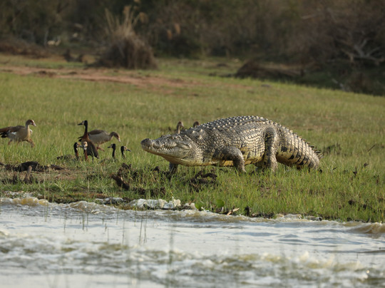 ICEROCK Trekking-内罗毕必去景点