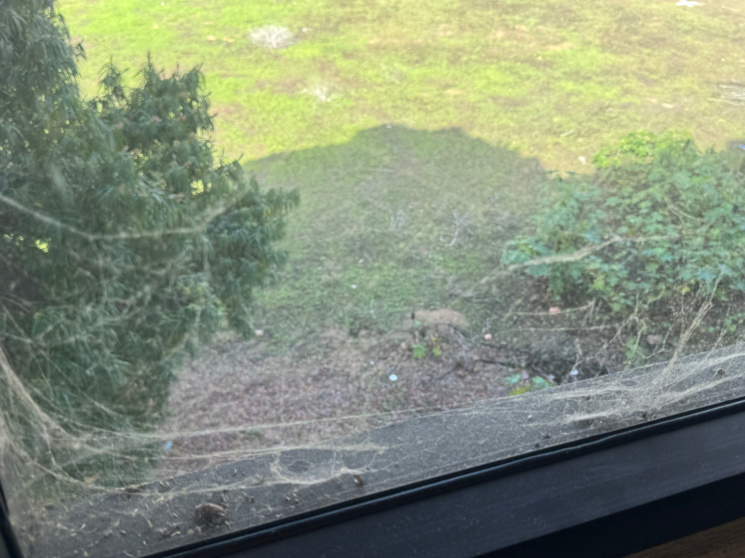 Courtyard by Marriott San Diego Del Mar/Solana Beach主图