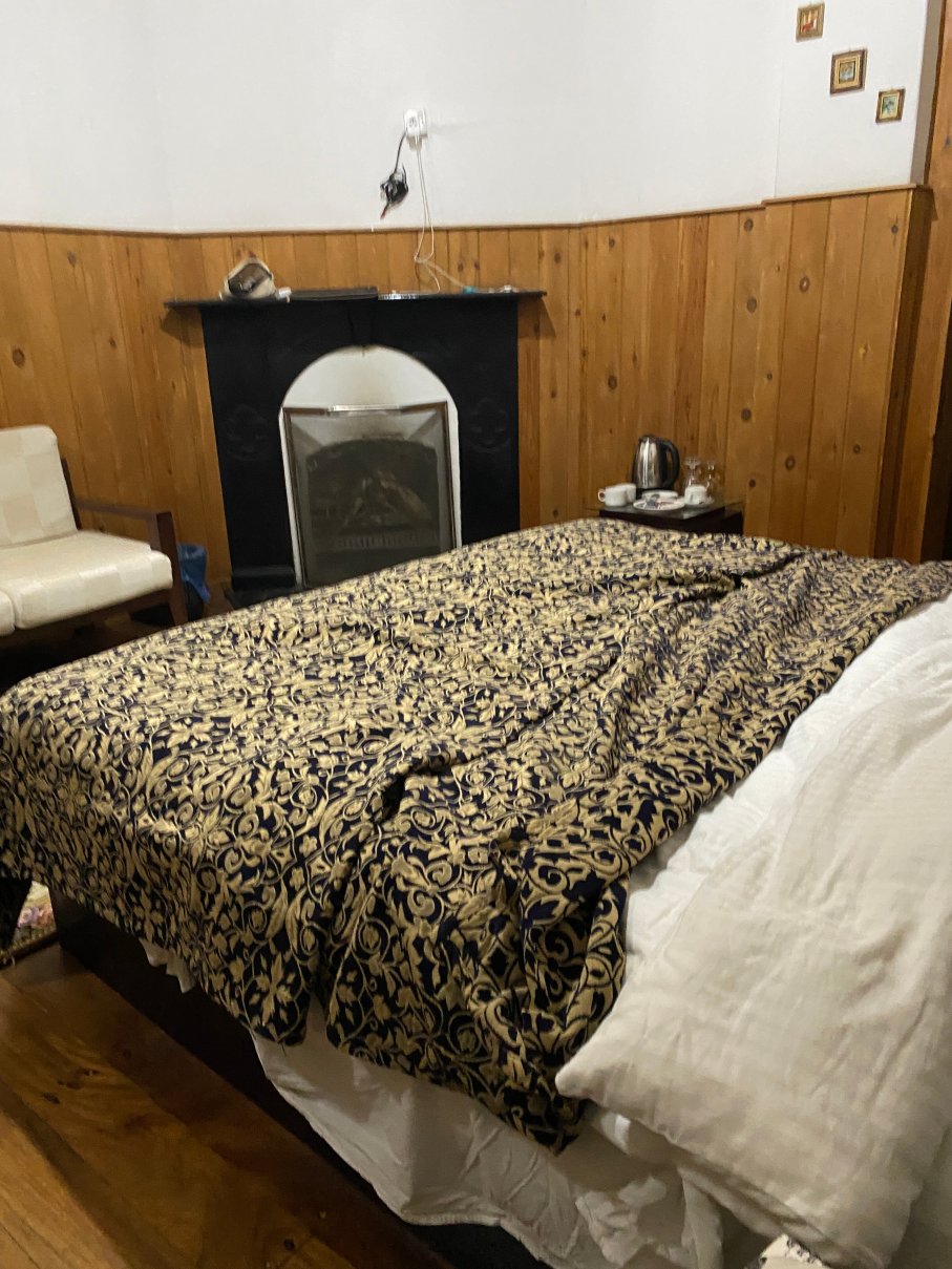 特列文酒店-客卧