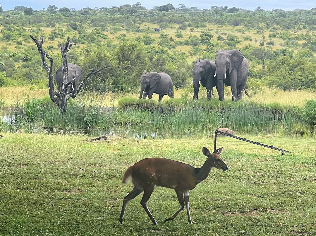 Savanna Private Game Reserve主图