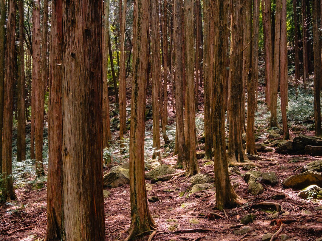 Jogyesan Mountain-顺天市必去景点