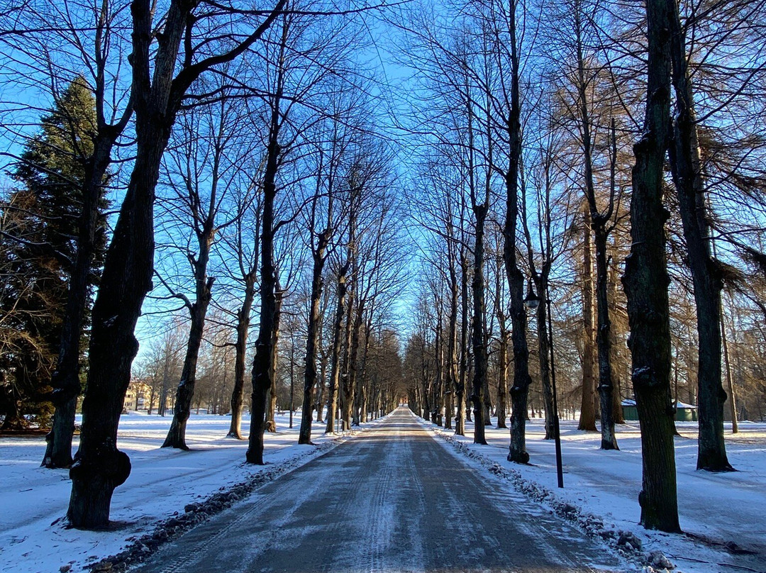 Boulognerskogen City Park-Gävle必去景点