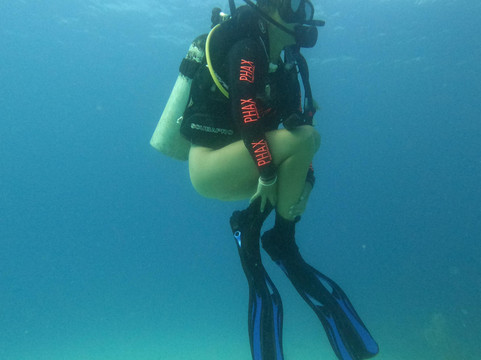 Diving Funs-圣安德烈斯岛必去景点