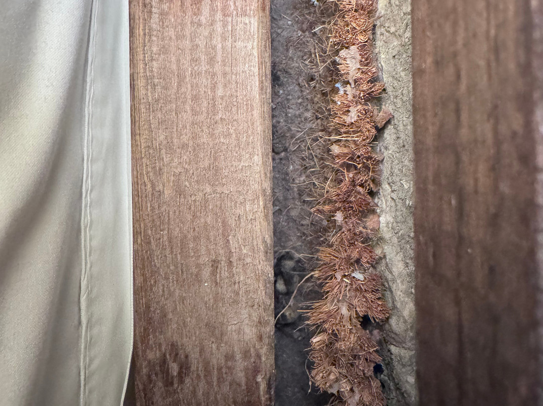 Aristi's Mansion主图