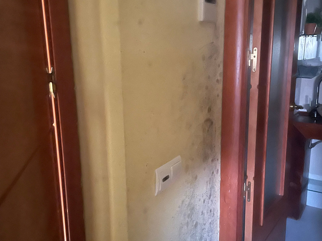 Hotel Rural El Tejarejo主图