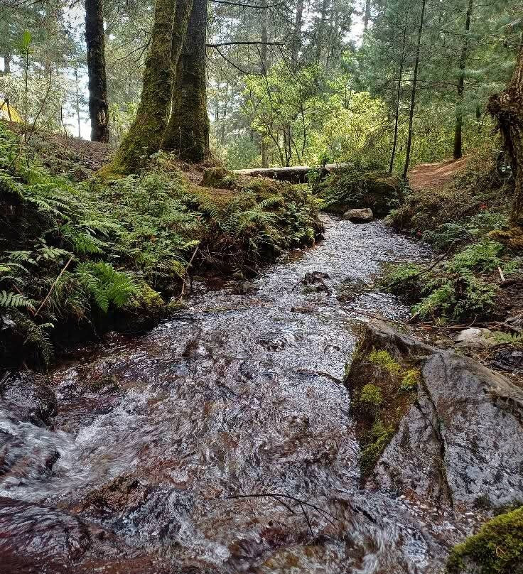 Los Dinamos-墨西哥城必去景点