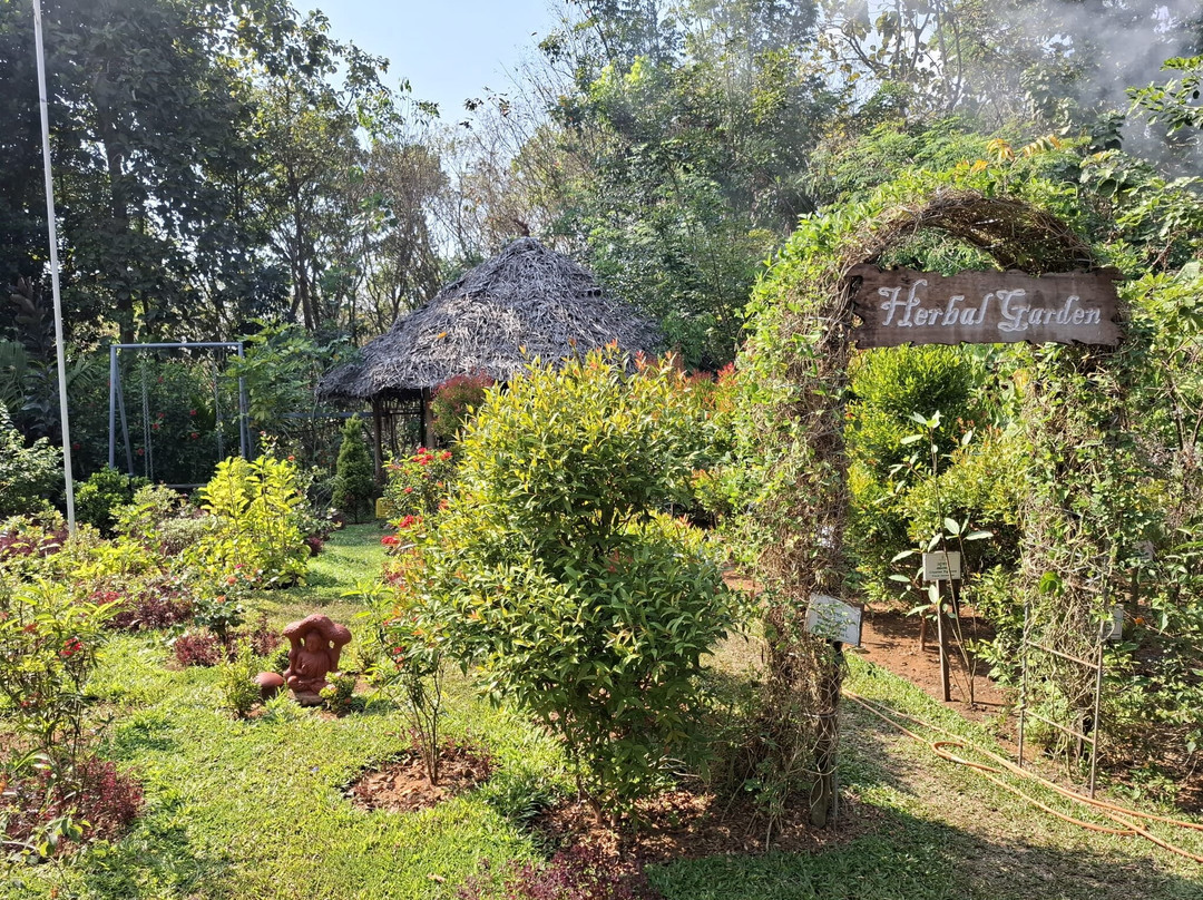 Vajra Ayurveda and Yoga Retreat主图