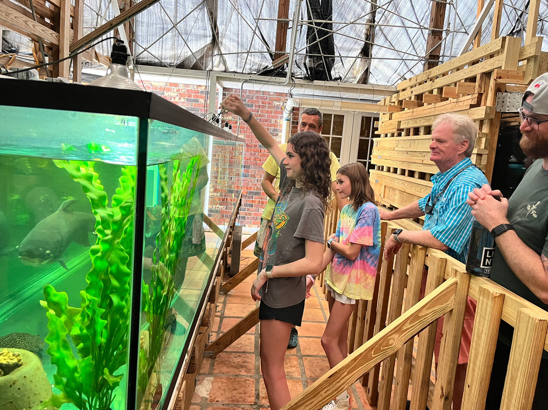Fish Story Aquarium and Rescue-那不勒斯必去景点