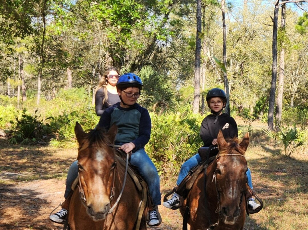 Wagon Wheel Horse Farm-奥基乔比必去景点