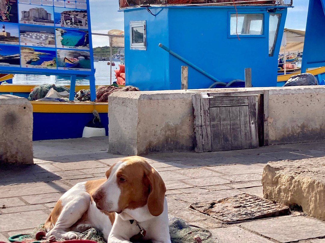 Fisherman-Marsaxlokk必去景点